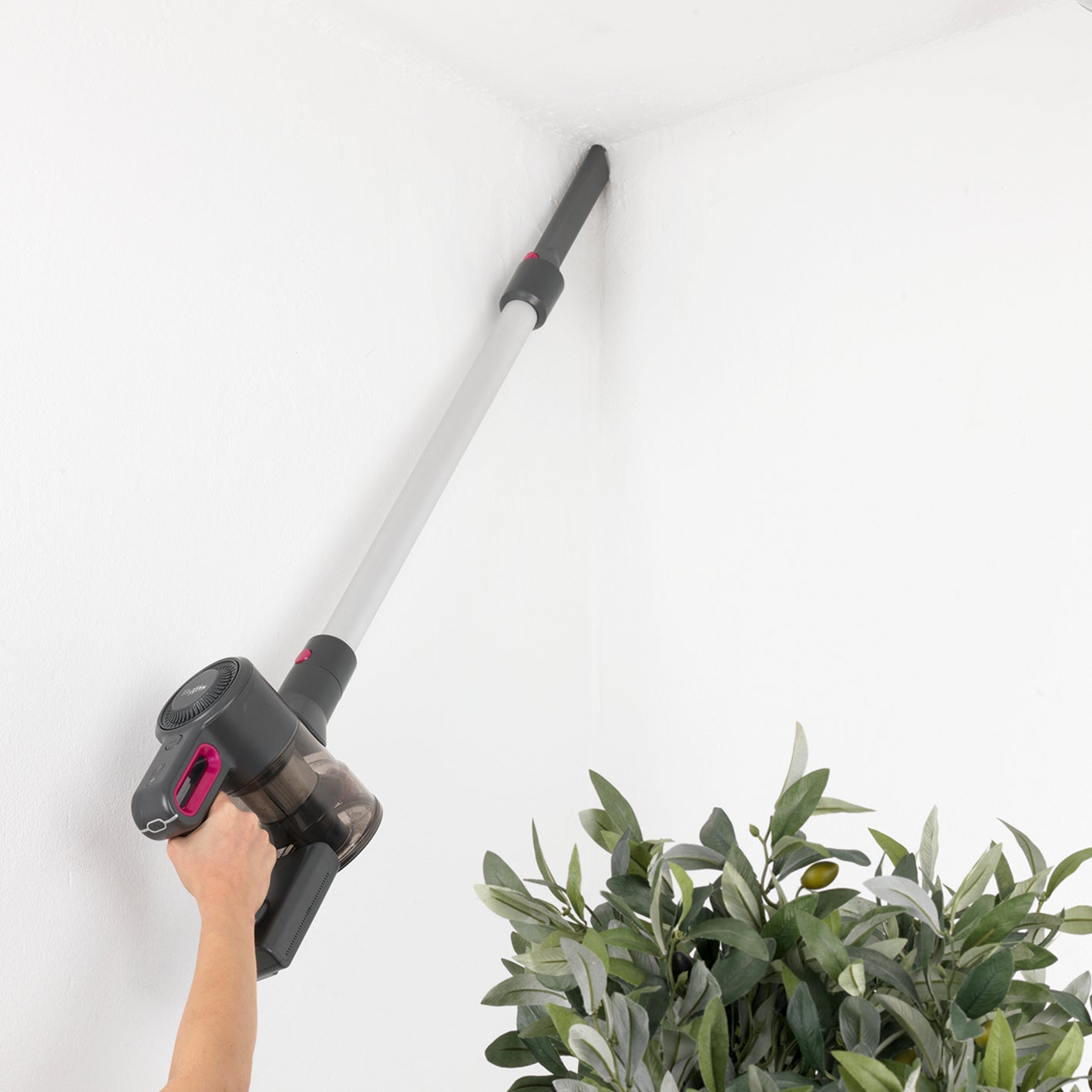 Akku-Zyklon-Staubsauger - Verlängerungsrohr auf bis ca. 80 cm in anthrazit/pink beim Staubsaugen einer Decken-Ecke.