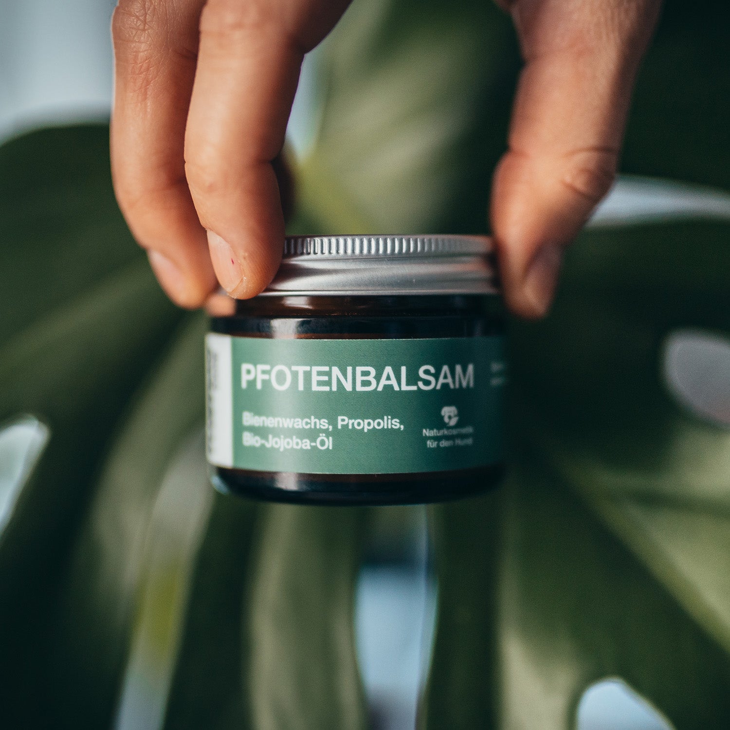 Pfotenbalsam - 50 ml - 100% natürlicher Pfotenschutz mit Bienenwachs, Propolis und Bio-Jojobaöl für empfindliche Hundepfoten.